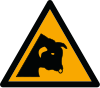 Signal ISO 7010 W034: Danger : taureaux
