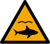 Signal ISO 7010 W054: Danger : requins