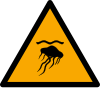 Signal ISO 7010 W069: Danger : méduses