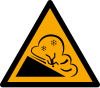 Signal ISO 7010 W083: Danger : avalanche